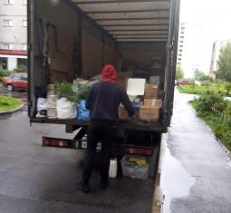 Апатиты - Великий Новгород